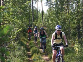 Sportdag Module Mountainbike te Oud-Heverlee