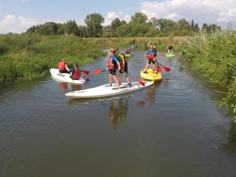 Beschikbaarheid kampen 2019