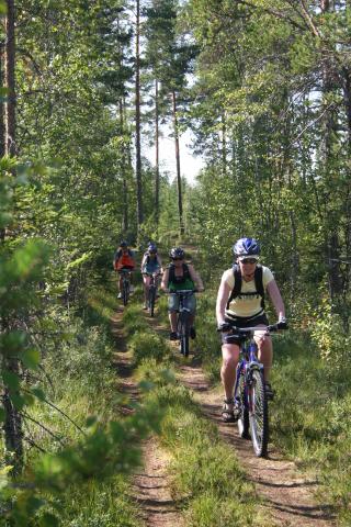 Sportdag Module Mountainbike te Oud-Heverlee