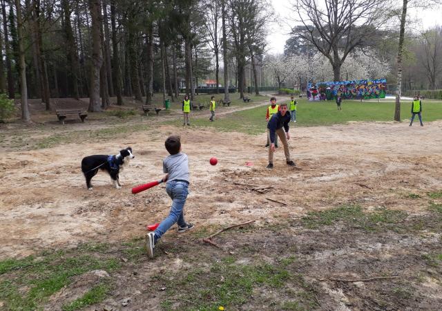 Sportdag Module Honkbal