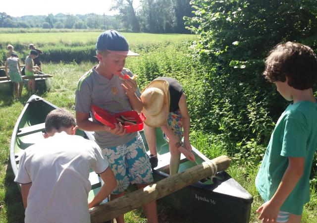 Sportdag vals-catamaran varen van de Dijle met zelf bouwen