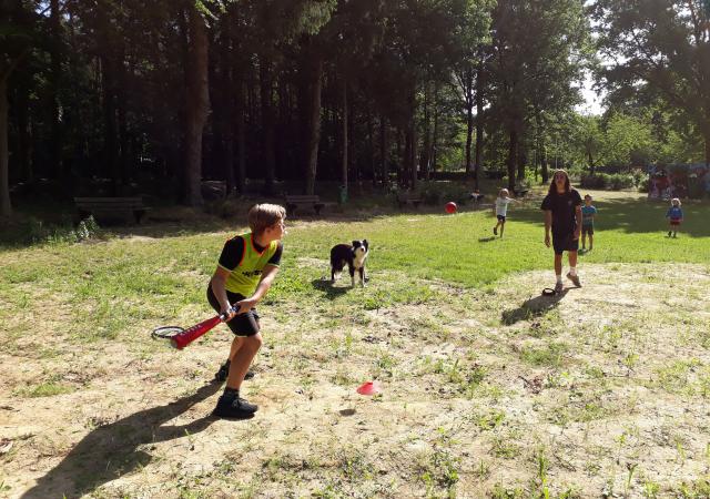 Teamsporten trio honkbal, tag-rugby en rugby-voetbal