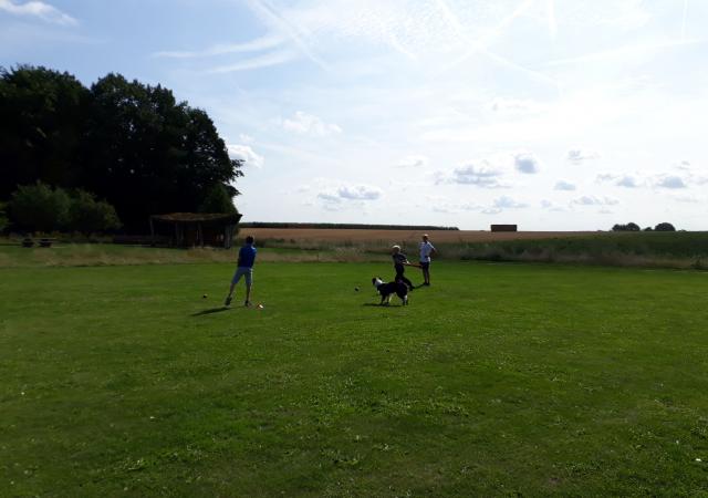 Sportdag Module Honkbal