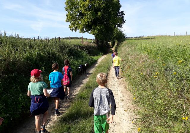 Sportdag Module Foto-zoektocht te Korbeek-dijle