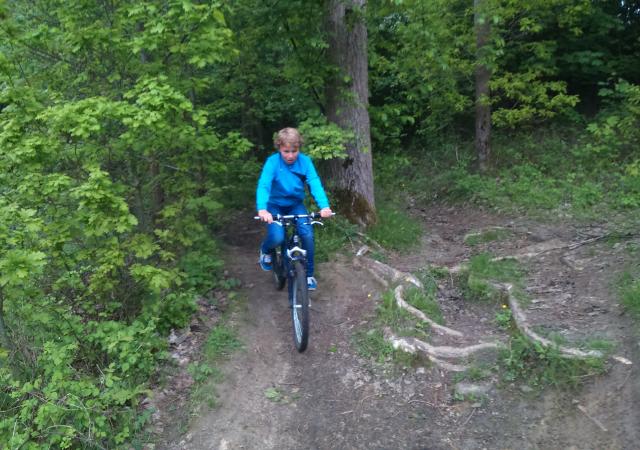 Sportdag Module Mountainbike te Oud-Heverlee