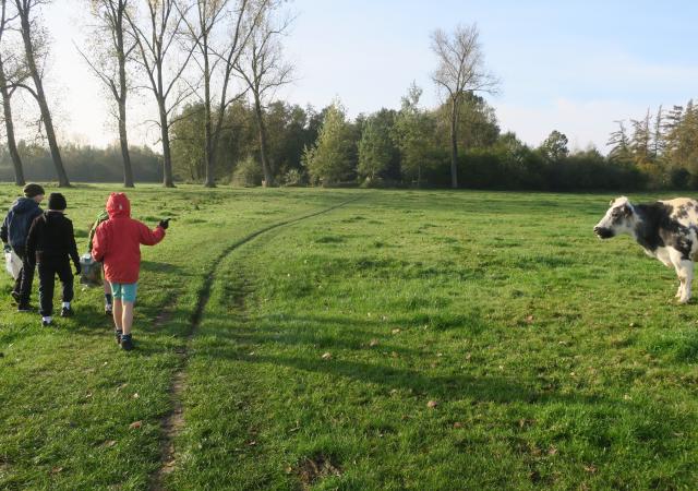 Sportdag Module Foto-zoektocht te Korbeek-dijle